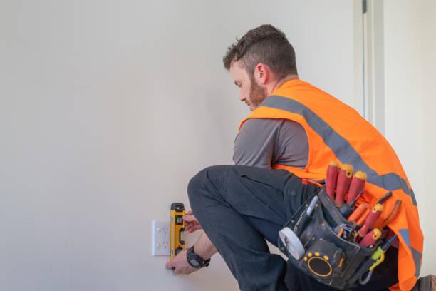 Best Affordable Electrician  in Naranja, FL